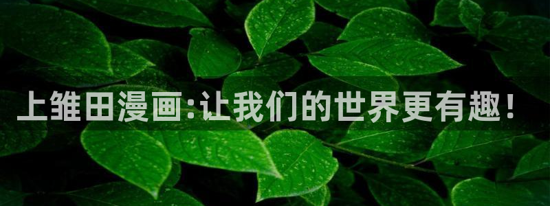 个人中心-贝勒漫画：上雏田漫画:让我们的世界更有趣！