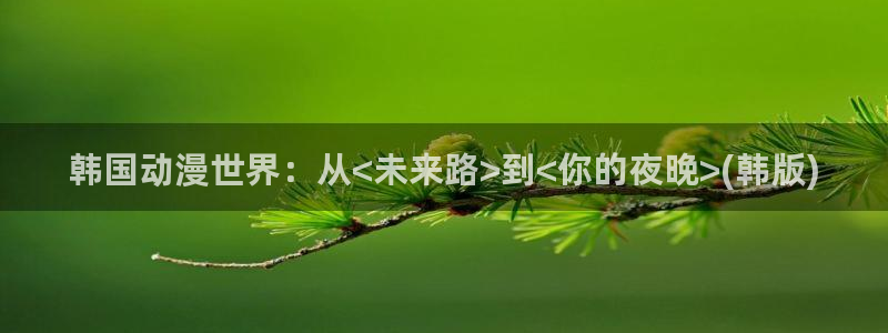 贝勒漫画要结婚的男人：韩国动漫世界：从<未来路>到<你的夜晚>(韩版)